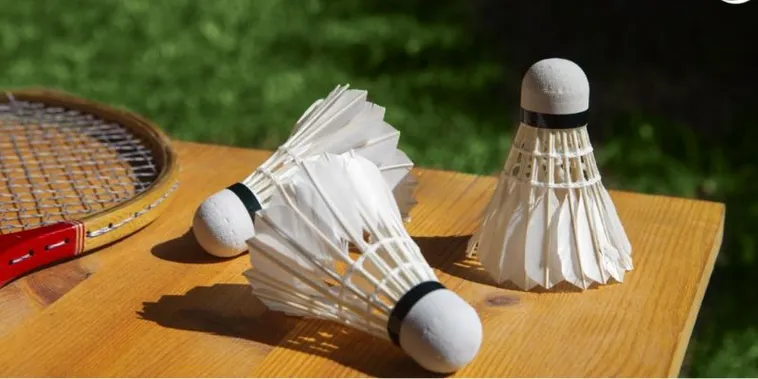 Cách Chơi Cá Cược Cầu Lông Online Hiệu Quả Tại Xin88 2 Cách Chơi Cá Cược Cầu Lông Online Hiệu Quả Tại Xin88