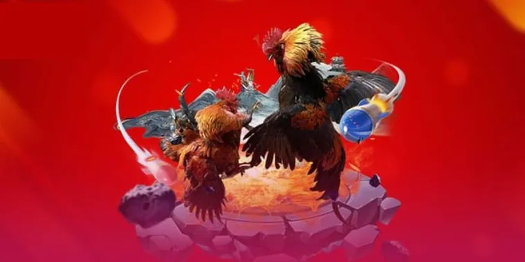 Đá Gà Xin88 Sân Chơi Uy Tín An Toàn Với Tỷ Lệ Hấp Dẫn